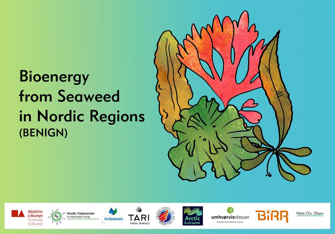 Bioenergy from Seaweed